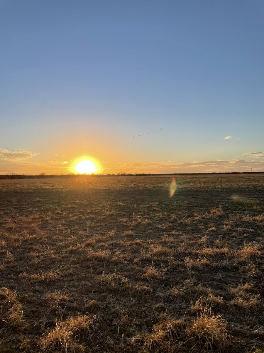 MrsJoditrammell's tweet photo. Home. #haskelltx #nofilter #canttakethecountryoutofthisgirl https://t.co/TBJI6mHnft