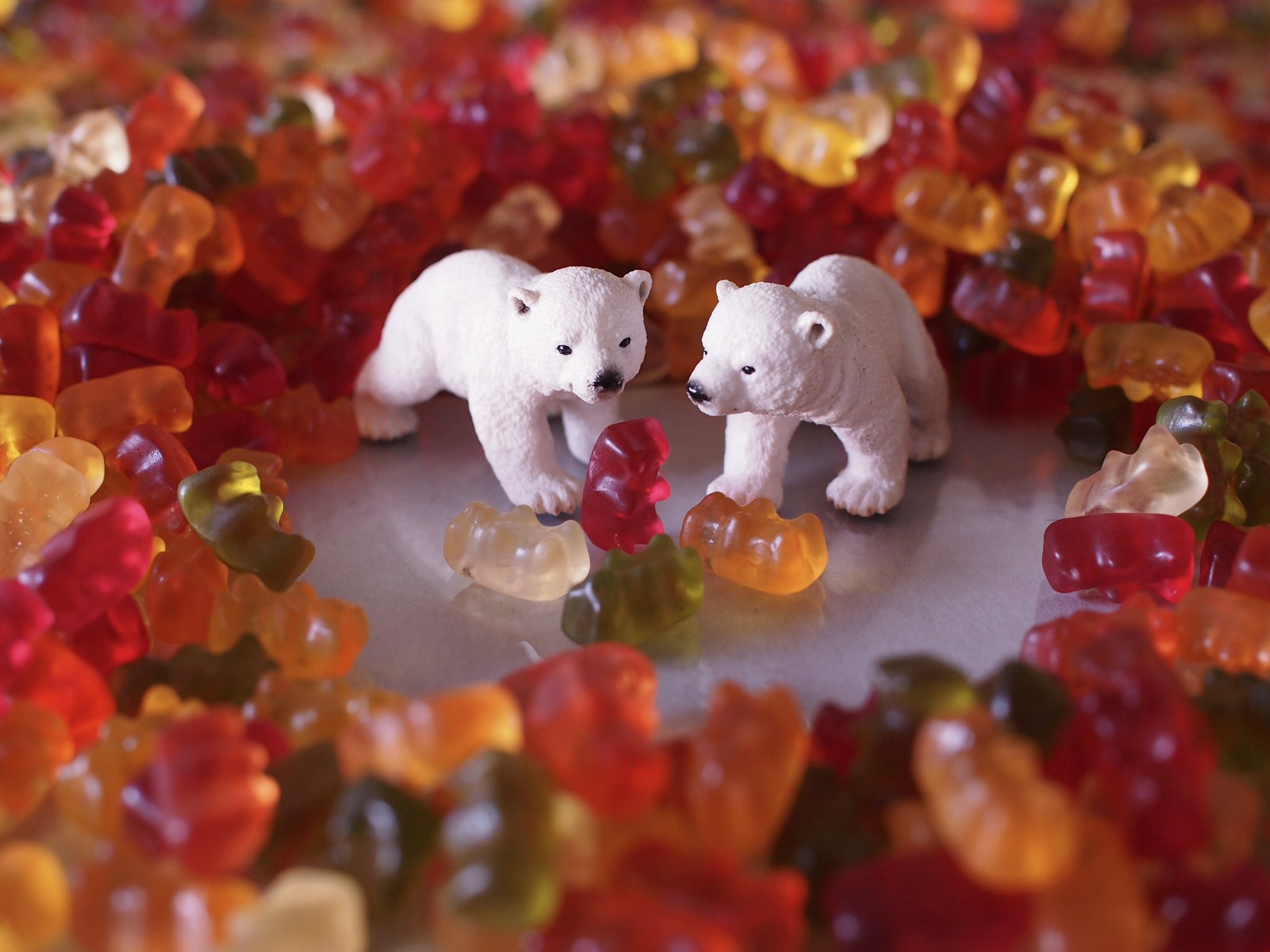 ハリボー グミ Haribo Haribojp Twitter