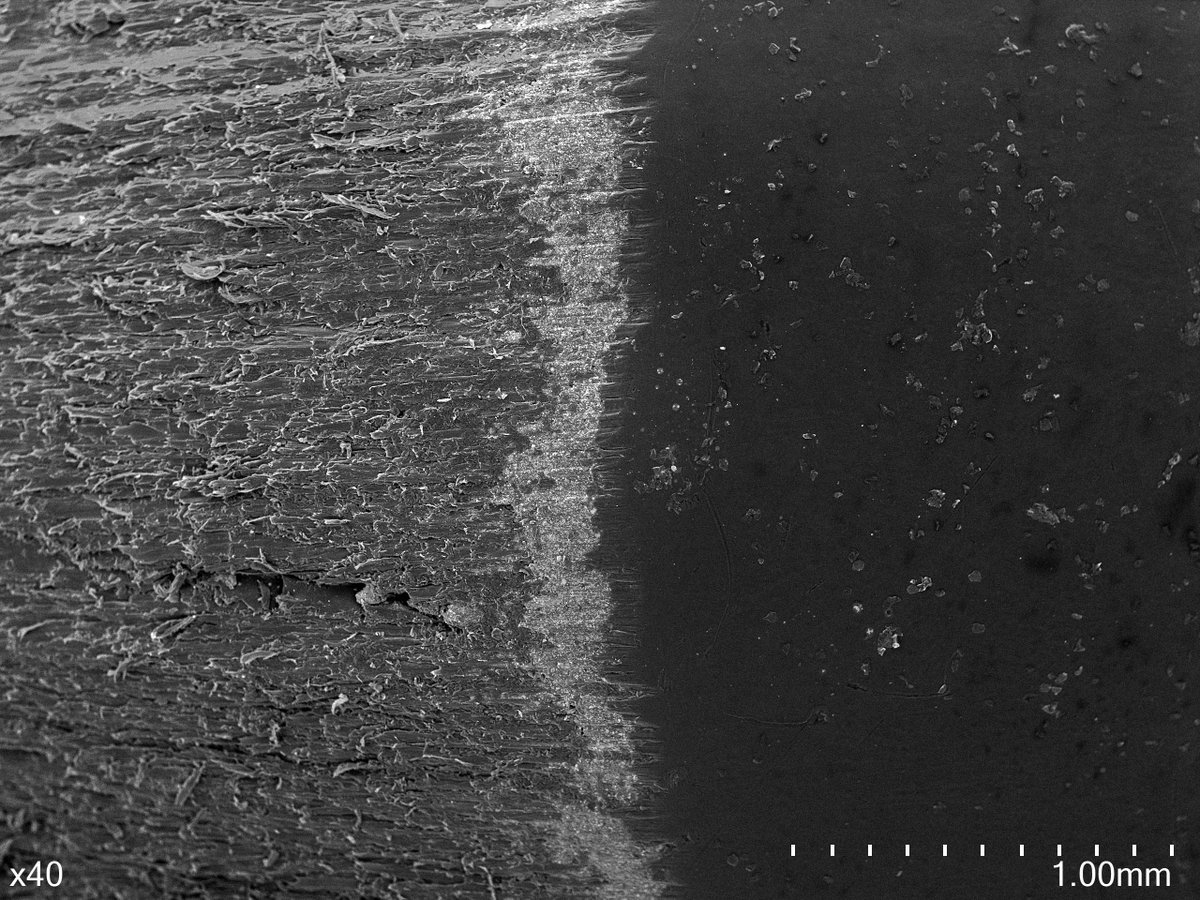 qldmuseum's tweet image. On point! Check out this graphite pencil tip captured in super high resolution using our scanning electron microscope. Find out how this equipment is assisting coral research at @MTQ_Townsville: bit.ly/3zvI45T
 📸 @Jeremyhorowitz3  
Supported by @bhp #ProjectDIGQM