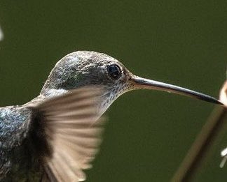 ¡Se viene algo súper
interesante! Vamos a empezar a generar sorteos de arte digital para aquellos amantes de las fotografías.
Un fotógrafo nos ha donado algunas de sus obras para que la comunidad las disfrute y sólo uno tenga la original en su formato pseudo-crudo