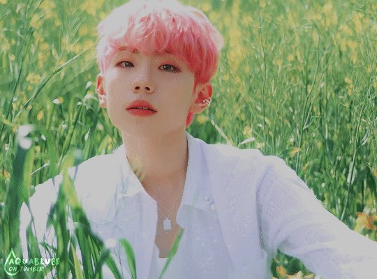 Maunotmiau's tweet photo. his eyes!!!! @ELASTofficial #Elast #Elring #Wonjun #TheBeginningOfSpring #엘라스트 #엘링 #원준 https://t.co/MBCvWLVT5d