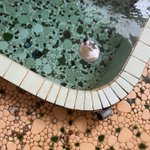 ツイートに含まれる画像