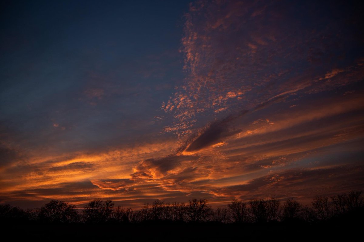 Ronnie Prcin tweet media