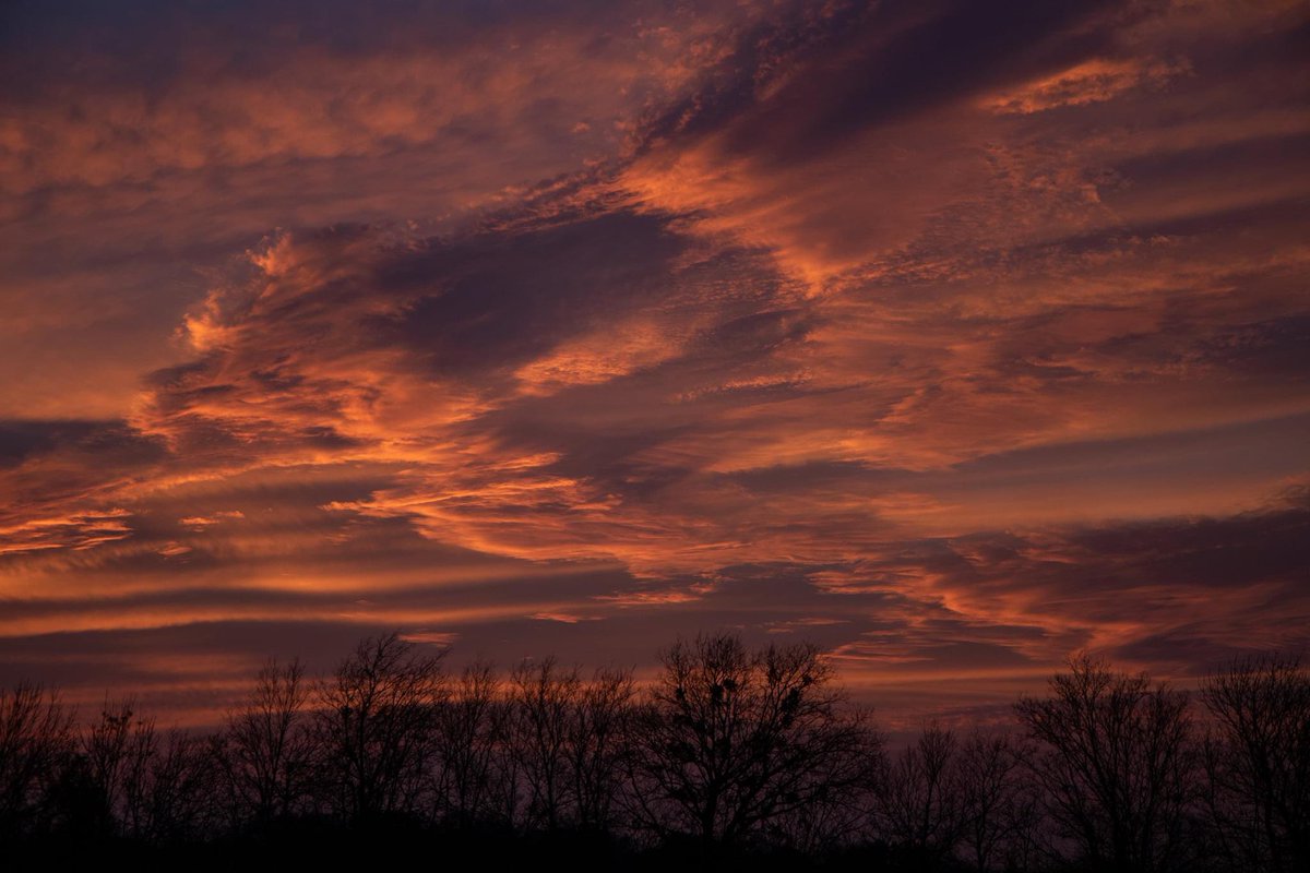 Ronnie Prcin tweet media