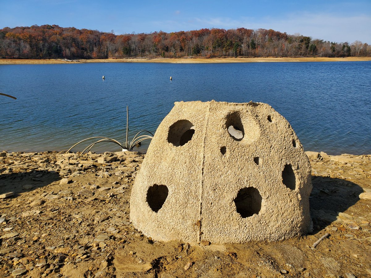 KYFisheriesNW's tweet photo. Reef balls at Nolin Lake State Park one year post installation. Still looking good! #fishy @reef_ball @NoShoesReefs @NolinLake_USACE https://t.co/ZjkOm5ZaF6