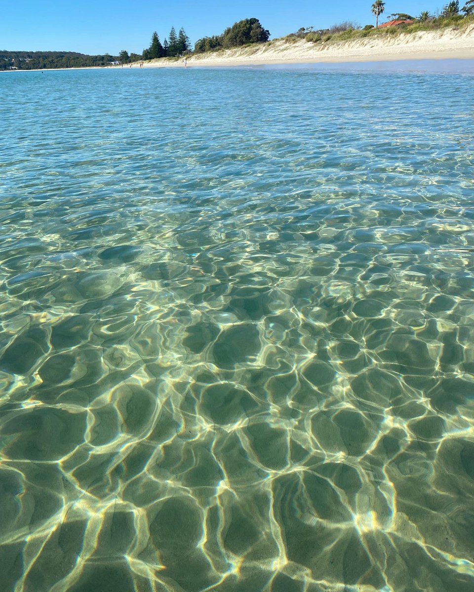 kellinthewoods's tweet photo. Celebrating the end of 2021 with a gorgeous salty book and a gorgeous salty morning. β¨βοΈππ#MonstrousHeart by Claire McKenna #reading #summerreads #fantasy #oceanreads https://t.co/JtrrTSlrcz