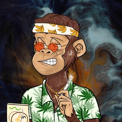 elevatedequity's tweet photo. One of my favorite projects on Solana. The community has been amazing. @StonedApeCrew Glad to be apart. https://t.co/CDQZYFXarf
