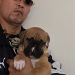 縁起の悪い動物なんていない!白足袋犬はとってもかわいい!
