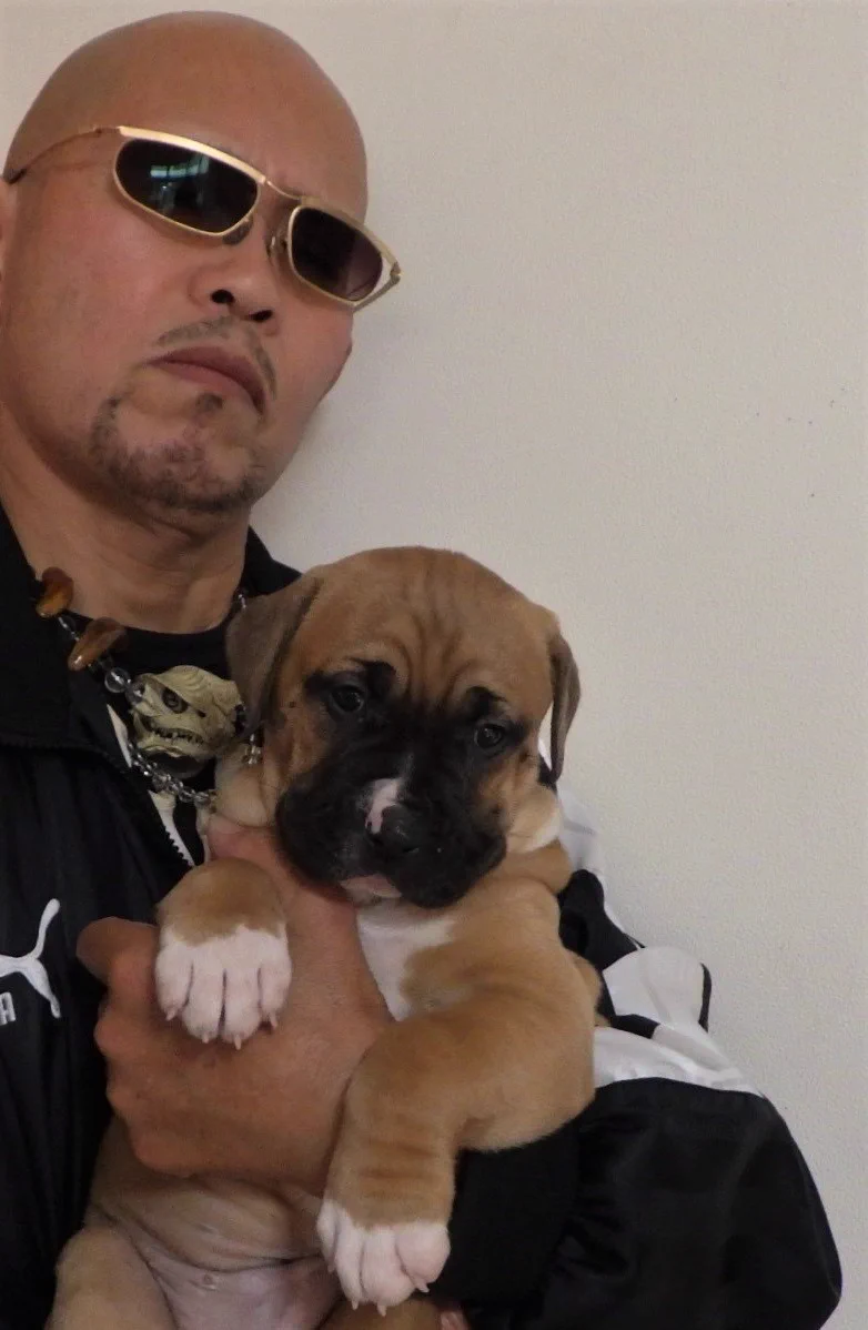 縁起の悪い動物なんていない！白足袋犬はとってもかわいい！