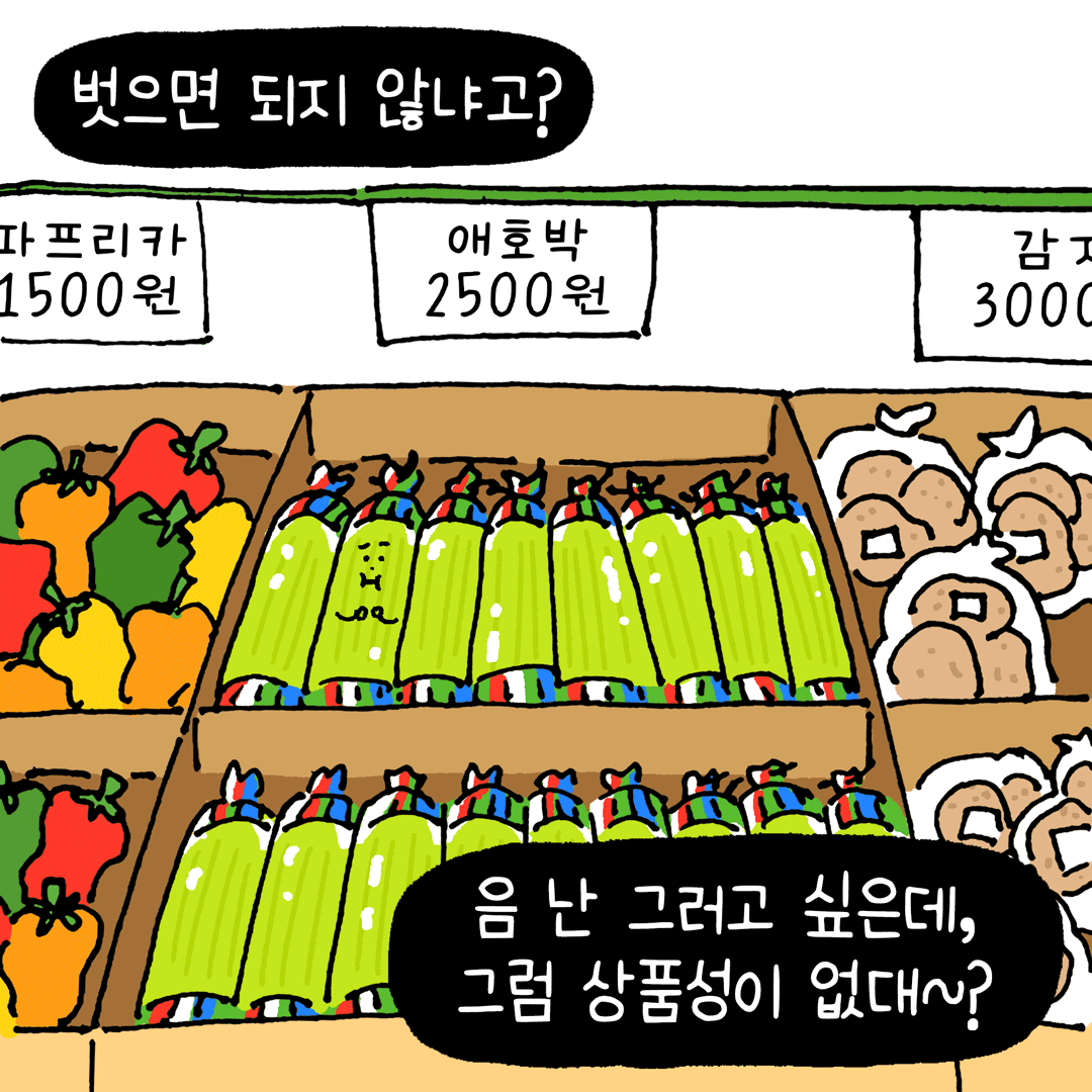 sistersgarden's tweet photo. 알록달록제철텃밭 5화, 애호박은 비닐옷이 갑갑해!🥒
(1) https://t.co/MXVhEDO7I7