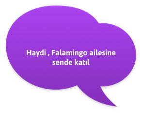 Falamingo App Store ve Play Store'da! itunes.apple.com/tr/app/falamin…