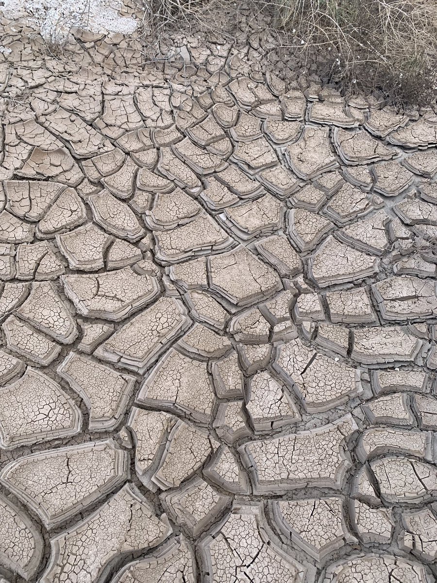 sarah preston 🪐⛏🏜 tweet media