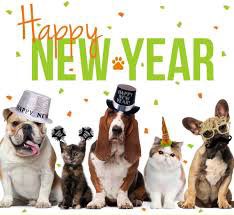 PawCann's tweet photo. In 2022 bring a pawever baby home with you! 🐾❤️ #adoptnotshop at https://t.co/5qN0Stjwau our family wishes all the paws will find a pawever home in 2022. https://t.co/FALSPMmL1v