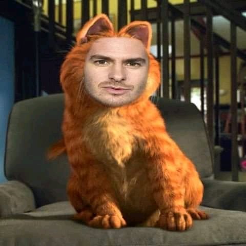 ERICKPALACIOS95's tweet photo. Andrew Garfield https://t.co/S60IQJn29s