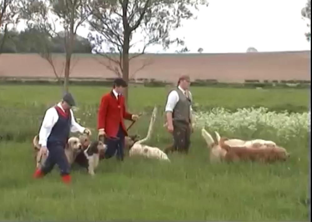 ECMH_Official's tweet photo. Eastern Counties Mink Hounds hunting at Withersdale May 2005, first season under the Hunting Act but hounds were going as strong &amp; glorious as ever.

Still here, still hunting.

https://t.co/PoIZUmG5QT

#Minkhunting #Minkhounds #Hunting #BanTheBan https://t.co/jiym3KjPSx
