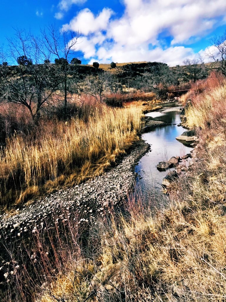 LauraxWasHere's tweet photo. A perfect meander on Little Colorado River at Wenima Wildlife Area 🙌#landstewardship #littlebarbs #snakelike #meanderingstream #slowtheflow @azgfd https://t.co/x6pfCiHxED