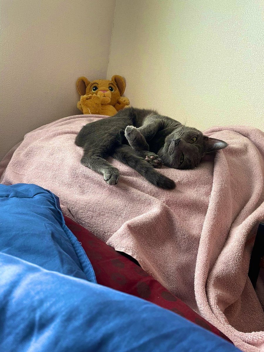 devilkillertype's tweet image. ニル「今年もお世話になりました⤵︎
来年もよろしくお願い致します🤲　」

ヌシ「ニルと共に、来年も宜しくお願い致します✋」