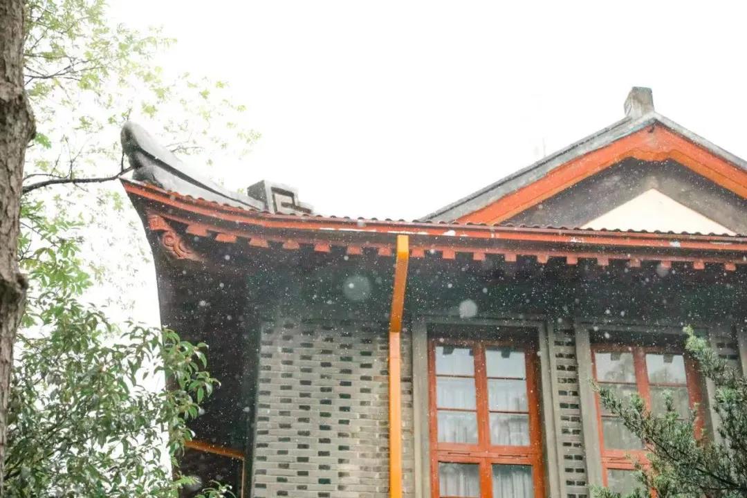 At the end of 2021, what do you want to say to us? Anyway, we'd like to give you the best wishes of 2022! Hope you become the best of yourself! 😊
(the pictures for you who miss ZJNU so much but in different countries)#studyinchina #StudyatZJNU