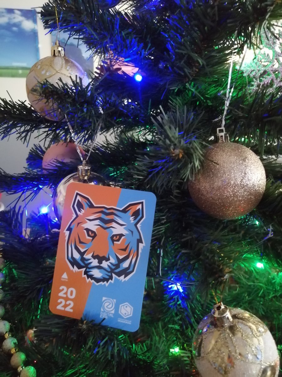 С наступающим Новым годом!

#новыйгод2022 #dieraru #digitalera
