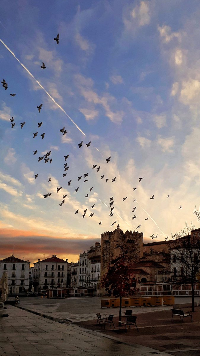 Silvia_6's tweet photo. 2021 desde Cáceres. https://t.co/svSTI86nX4