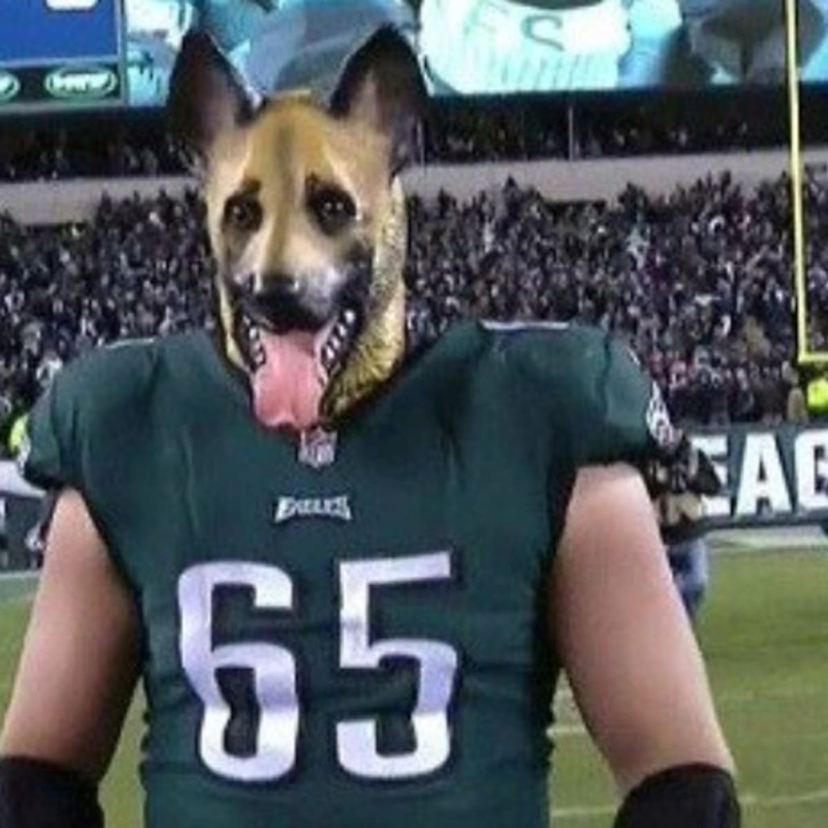deeeeeeeeeeeeej's tweet photo. @BushLeagueOpen https://t.co/d2knGkmsuW