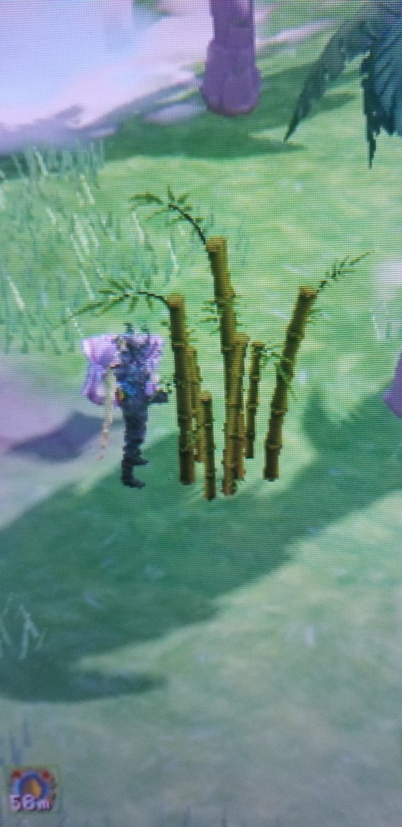 Jamandy52's tweet photo. 108m woodcutting! I love my island! https://t.co/s2iBKHuD8d