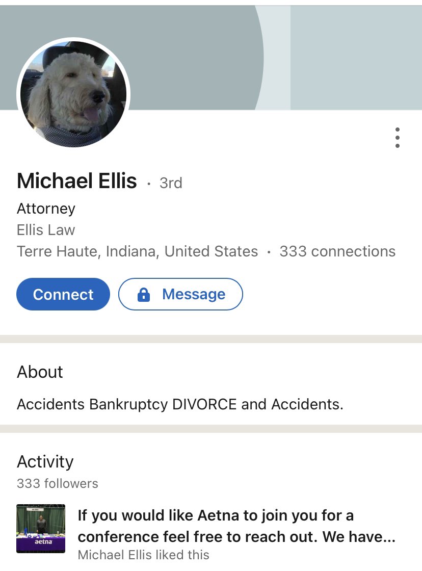 DogDiaper's tweet photo. Look at my lawyer dog https://t.co/uysaZ2m2mD