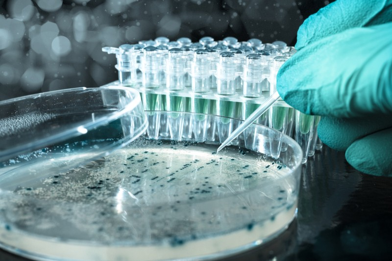 OfAdvances's tweet photo. Humble Beginnings: The Origin Story of Modern Biotechnology https://t.co/9Gttka0stA via @Labiotech_eu 
#Alsb https://t.co/v7x0iSTMRa