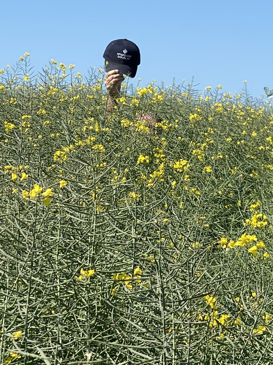 stevoMGAS's tweet photo. @awedgewood @JLazySAngus Just being green!!! https://t.co/qmwhXFpjlY