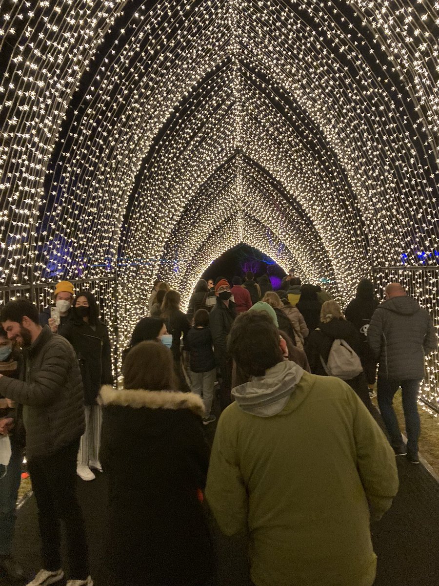 NRDCKit's tweet photo. A magical evening at @BrooklynBotanic #BBGLightscape. A reflection of the beauty and resilience of New York City. https://t.co/b8RXjiRPDU