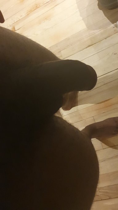 I feel horny tonight https://t.co/q7yFZekBM9<a href="/tag/homemade"class="tags"><span>#homemade</span></a><a href="/tag/petite"class="tags"><span>#petite</span></a><a href="/tag/amateur"class="tags"><span>#amateur</span></a><a href="/tag/blackandebony"class="tags"><span>#blackandebony</span></a>