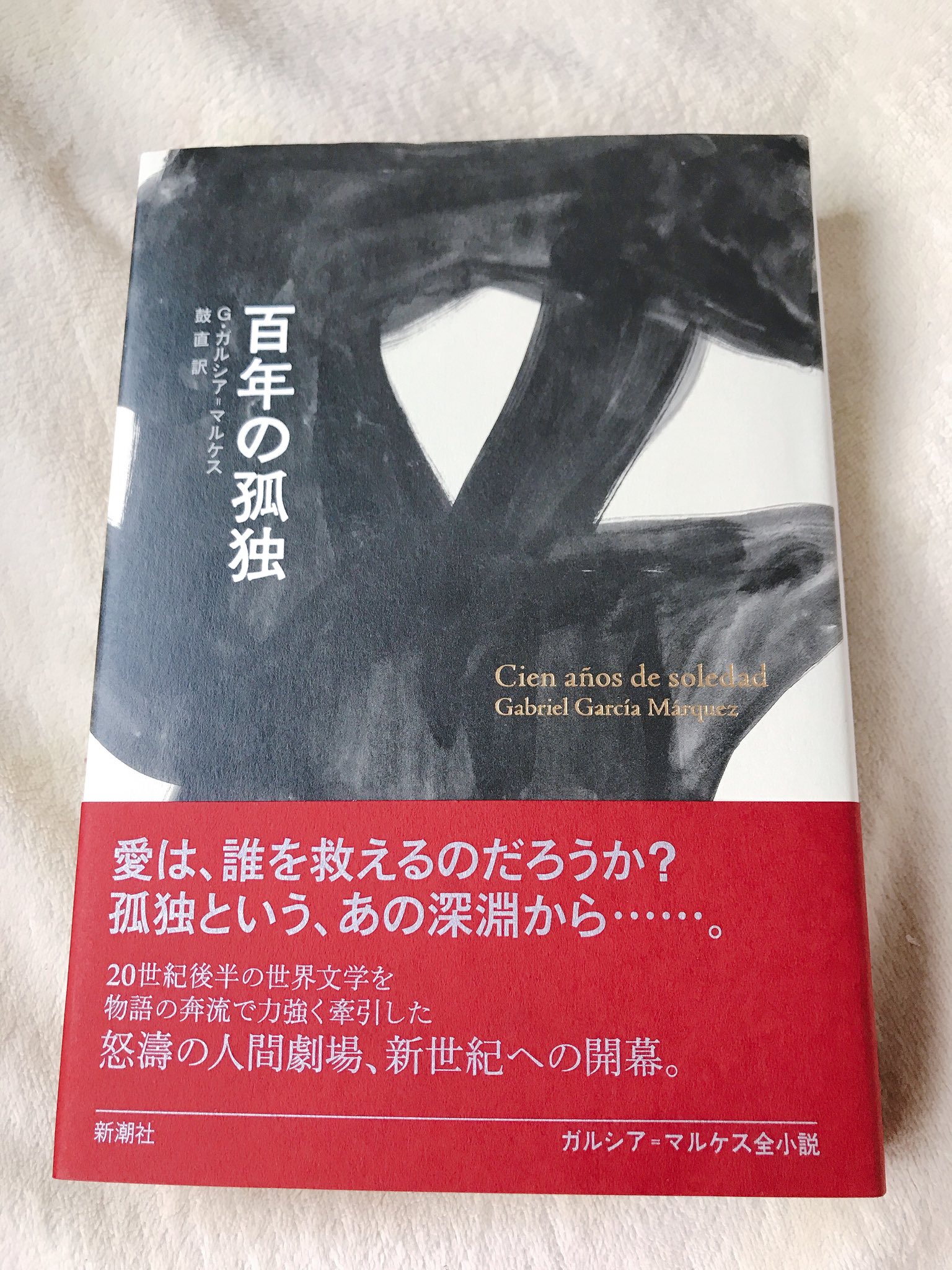 Pokako ガルシア マルケス 百年の孤独 名作をやっと読むことができた 全編にわたって 何も起きていないとも言えるし 毎語驚くべき出来事で満ち溢れているとも言える タイトルの 意味は最後の最後に明かされる 冬の和室で読みながら 南国のうだる Pokako ガルシア マルケス 百年の孤独 名作をやっと読むことができた 全編にわたって 何も起きていないとも言えるし 毎語驚くべき出来事で満ち溢れているとも言える タイトルの 意味は最後の最後に明かされる 冬の和室で読みながら 南国のうだる