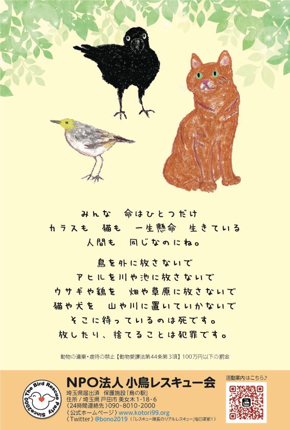 bono2019's tweet photo. 今年も

たくさんの命と関わって来ました。

捨てる人もいれば、拾う人もいる、
生きたい、という　こえなき声が
聞こえたのなら　迷わずに手を
差し伸べてあげてください。 https://t.co/1cy2pEXnmC