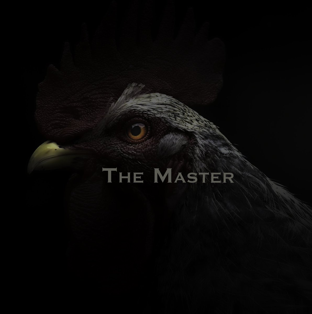 TheMasterNFT tweet media