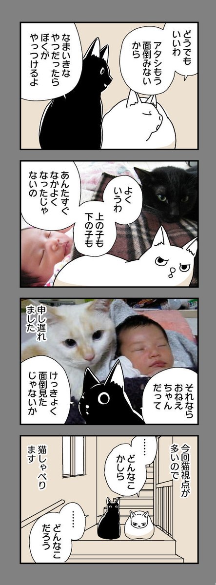 おおみそかですが、通常通りの更新です。あ、そうそう、猫がしゃべり出しました。
第三百四十三話 猫のきもち|うめ(小沢高広・妹尾朝子) @ume_nanminchamp |ニブンノイクジ https://t.co/OXYjHgMOZp 