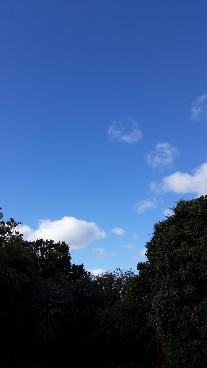 Lisa_Zate's tweet image. 🐷いこまいかい運動部🌸🌼
✅スクワット 20回
✅腕立て10回
✅逆立ち 30秒
✅腹筋40回往復
✅walking 30min 
今年最後の運動です。来年も変わらず続け再来年も50になっても60になっても変わらぬメニューをこなしている自分を想像します。
#ダイエット倶楽部 #老化防止 #exerciselover #水2L