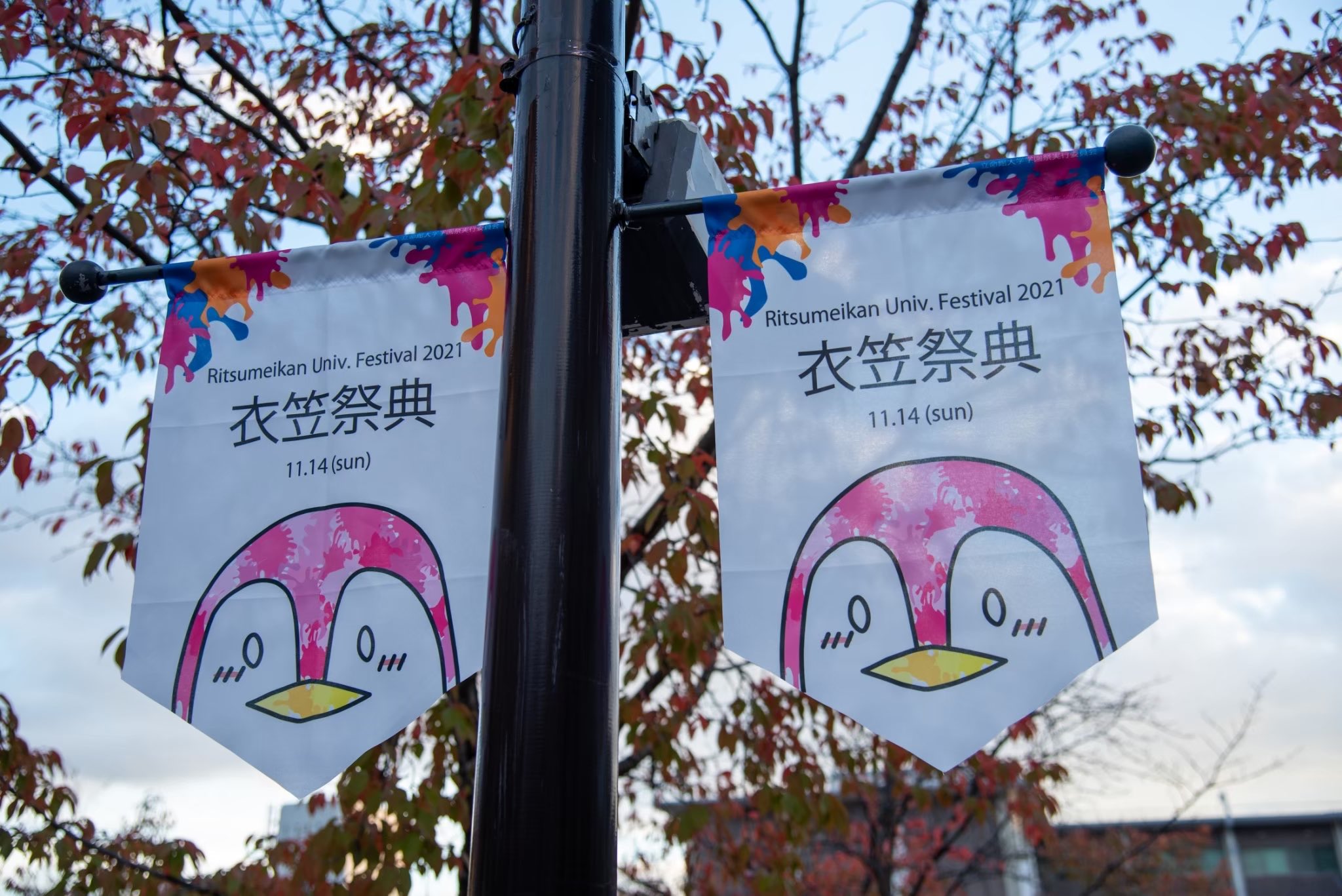 公式 立命館大学学園祭21 Rits Fes Koho Twitter