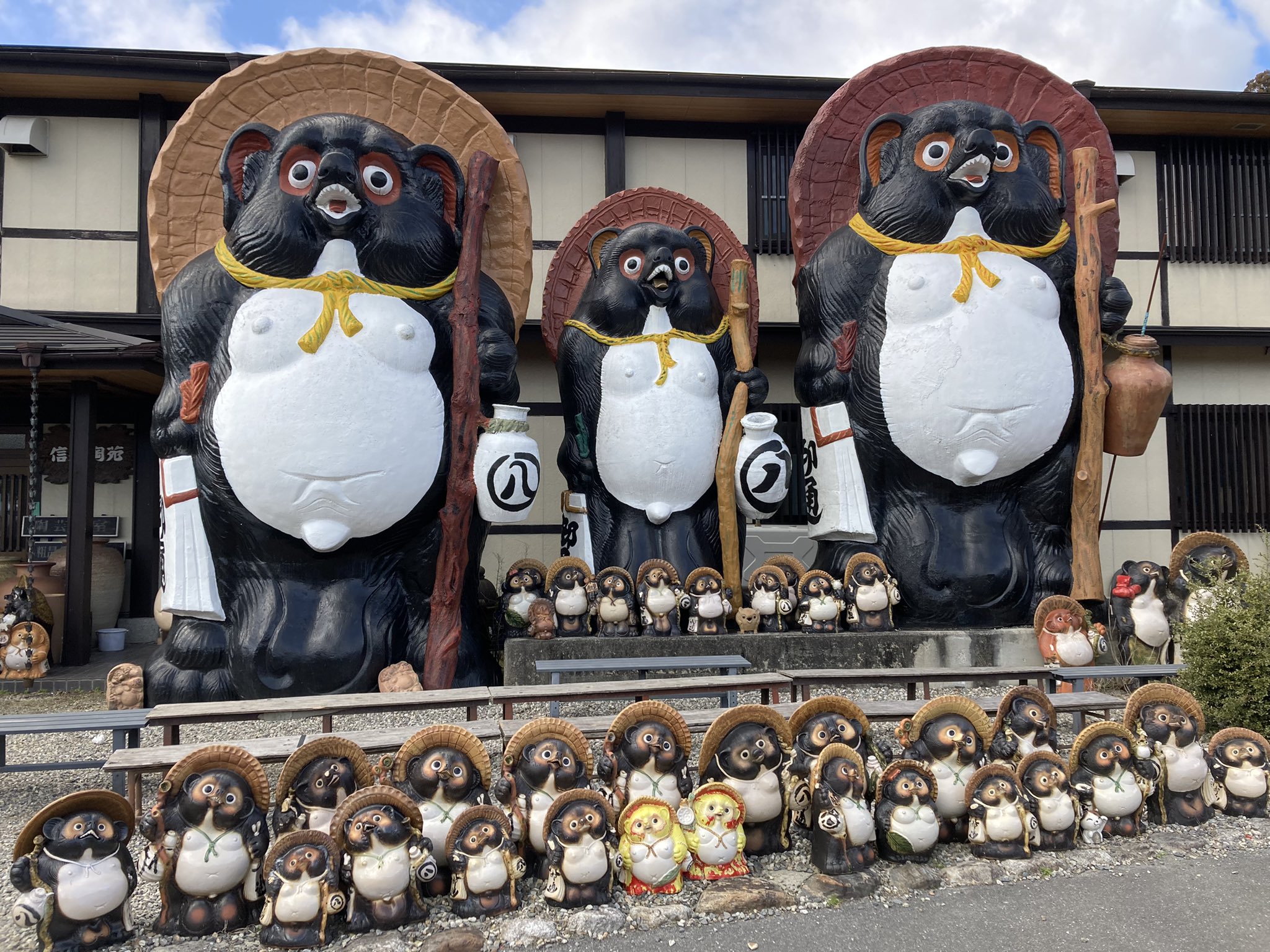 のなぞー 今日はうちのワイフと狸の焼物で有名な信楽に来ました Nhk朝の連ドラ スカーレットの舞台の場所です 狸は 他抜き ライバルを抜く で縁起物です 狸の大きなキン マはお金が貯まるといことみたいですよ 信楽焼のフクロウ は不苦労で