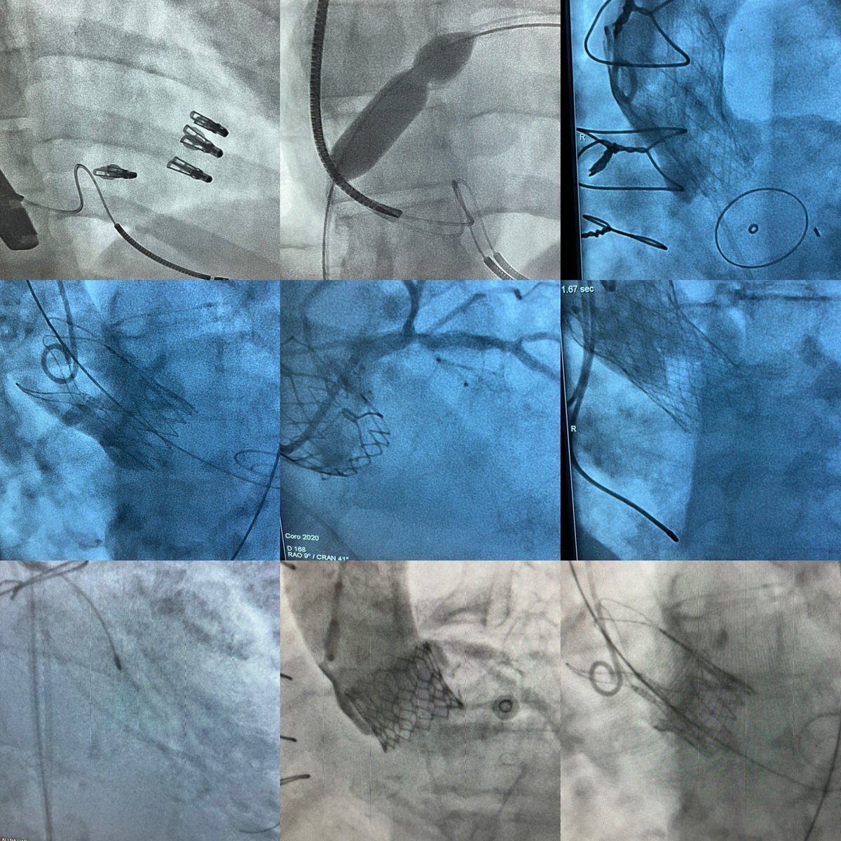 Fadi Sawaya tweet media