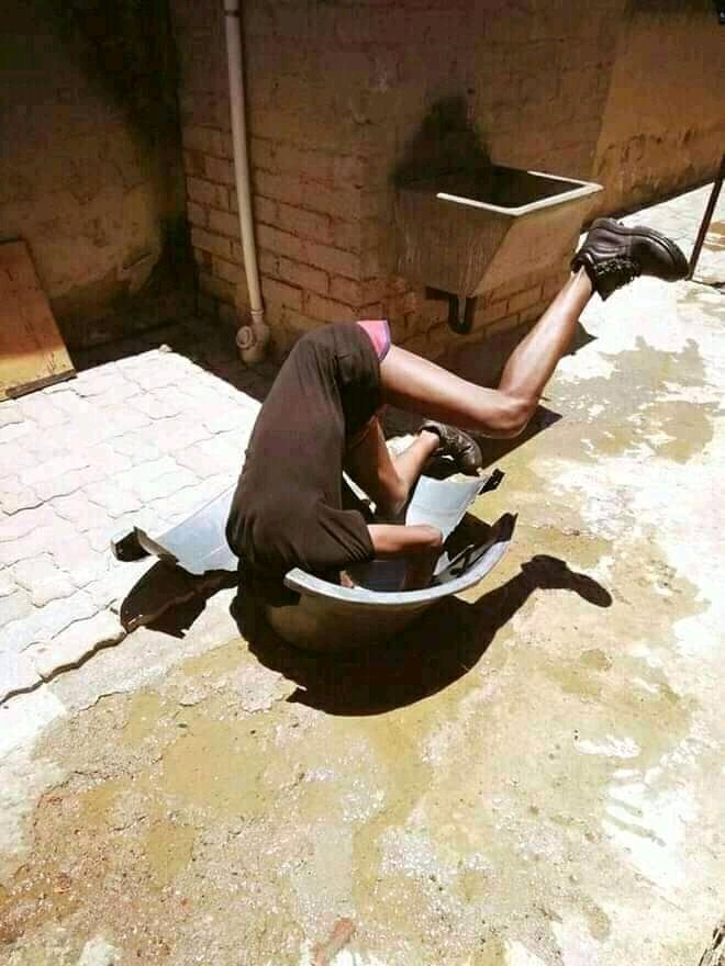 MZulu wa Limpopo tweet media