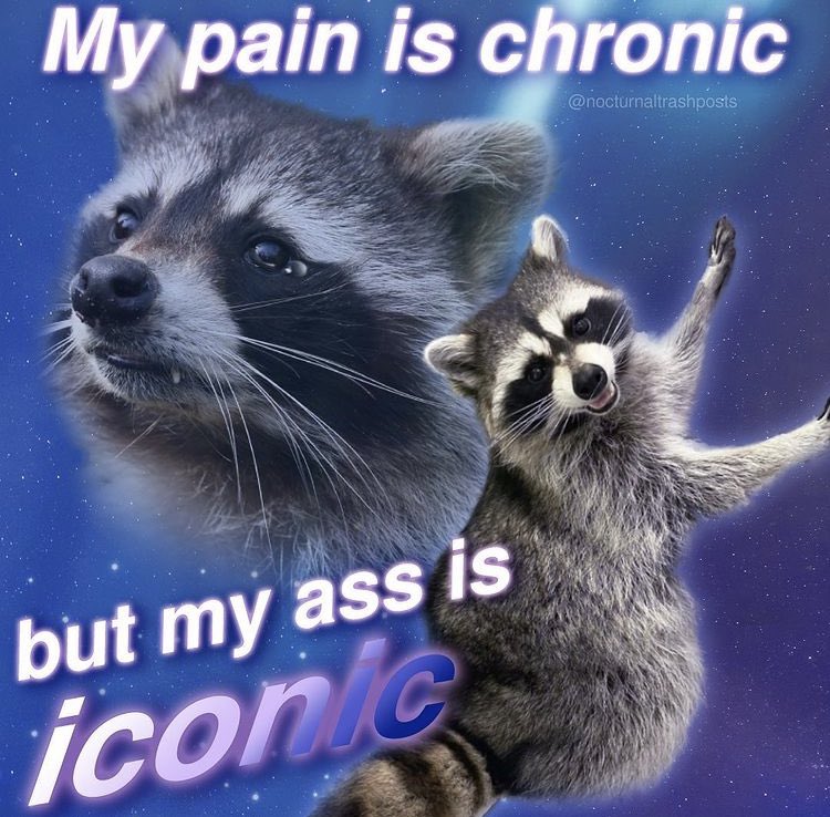 RaccoonDaily's tweet photo. 🍑 https://t.co/Qd5aukbR37