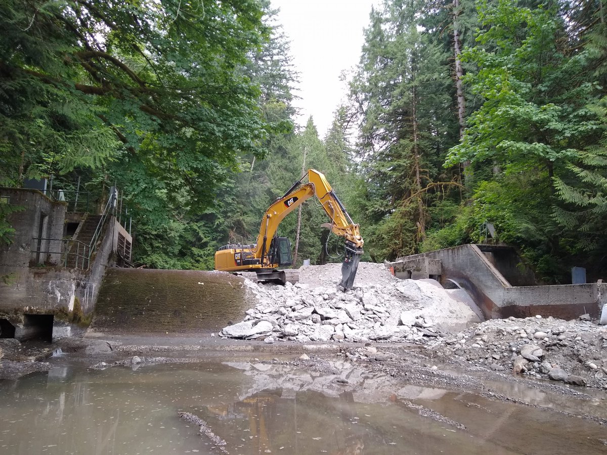 venturellilab's tweet image. DM if qualified and available to review a manuscript on salmonid responses to dam removals. Otherwise RT. 34 pages of text, 7 tables, 11 figs. Behind schedule, so hoping for 1-week turnaround. Reviewer 2 is not responding. If ur R2, pls get on it. If u know R2, pls nudge :)