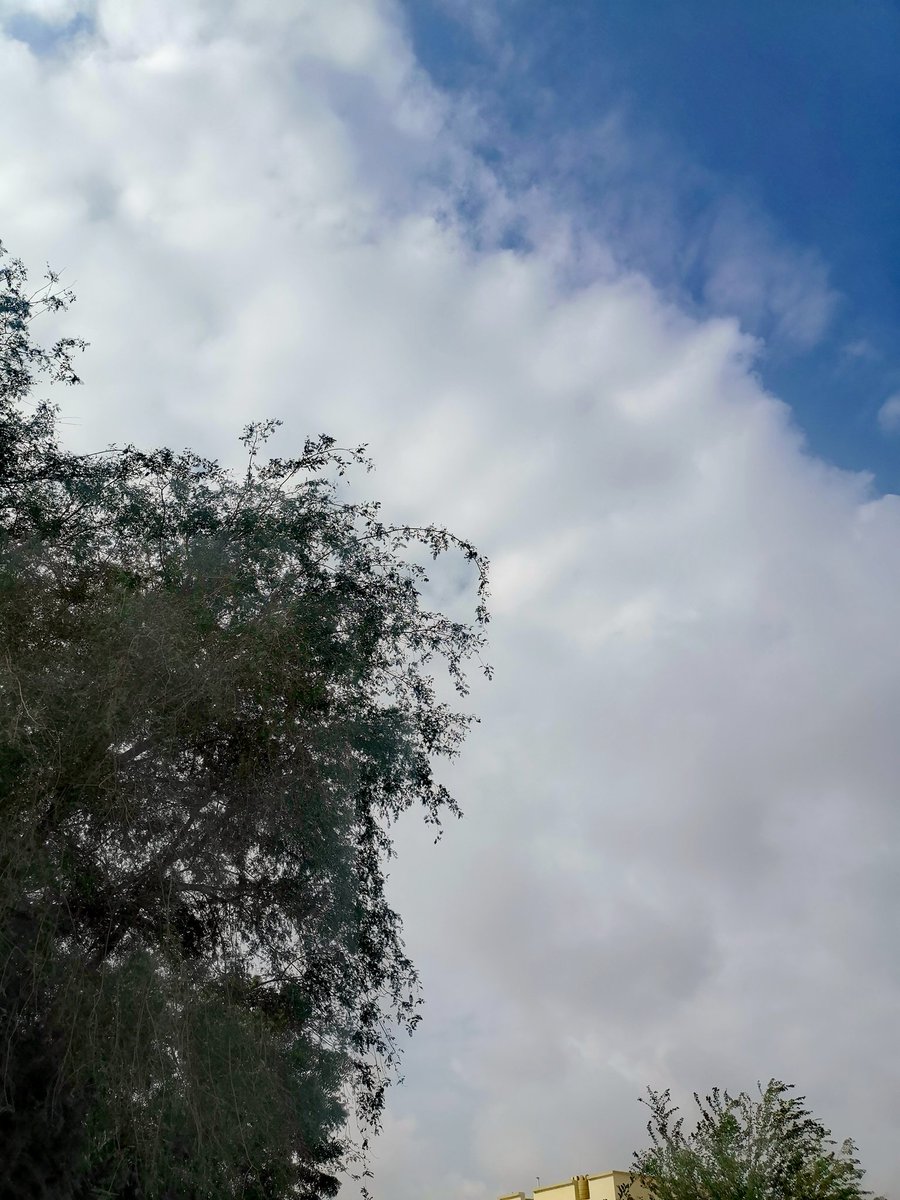 غيوم وغاف ف الجاهلي ب #عبري