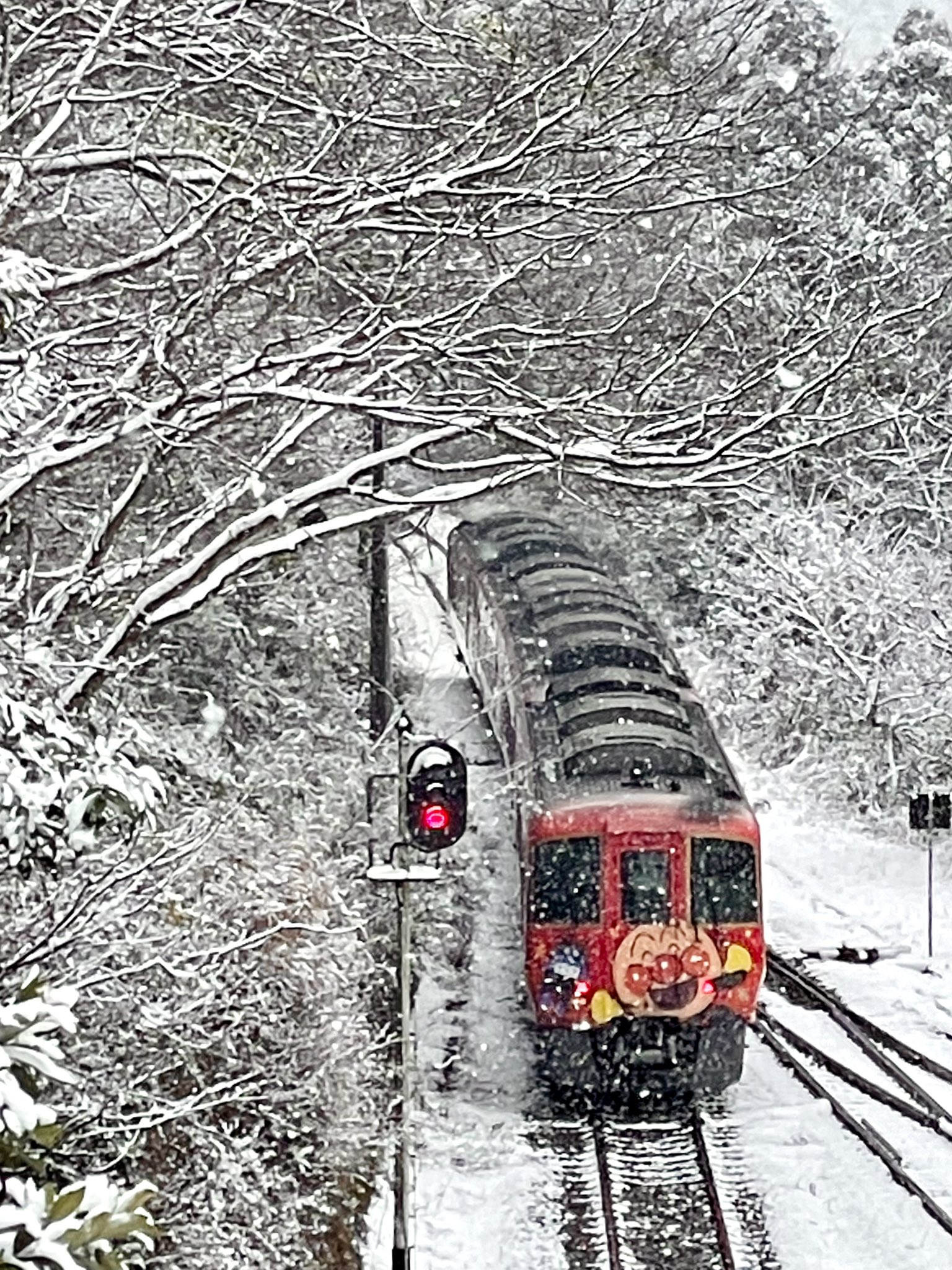 そらん 大晦日は雪景色 アンパンマン列車の赤い車体が映えました 運転手さん 運転お気をつけてくださいませ 徳島県 大歩危駅 21 12 31 Jr四国 土讃線 アンパンマン列車 雪景色 大晦日 大歩危駅 T Co L4yfkddlpu Twitter