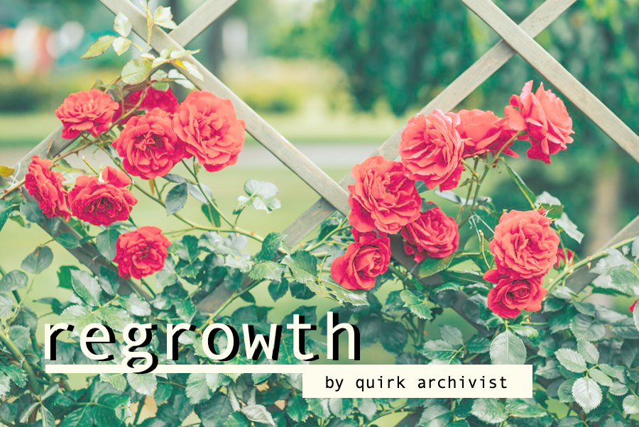 🌹 regrowth 🌹

Katsuki and Eijirou are afflicted with a memory loss quirk, one which requires physical touch to bring their memories back. Katsuki is less than receptive to the idea of touching a total stranger.

My piece for <a href="/lionheartzine/">Lionheart: A KiriBaku Fanfic Anthology🔸️CLOSED</a>. Read it here: archiveofourown.org/works/36091534