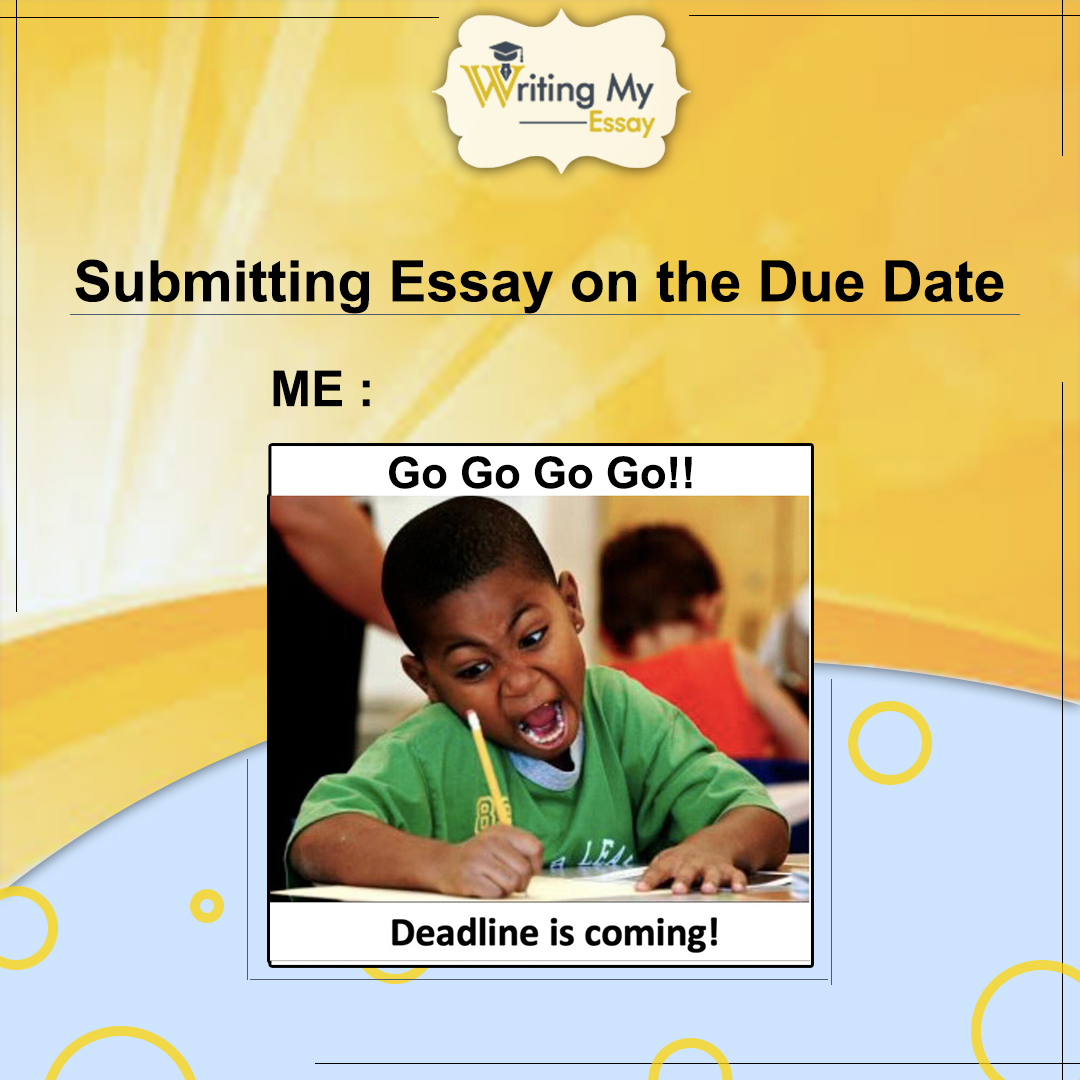 write my essay for me com