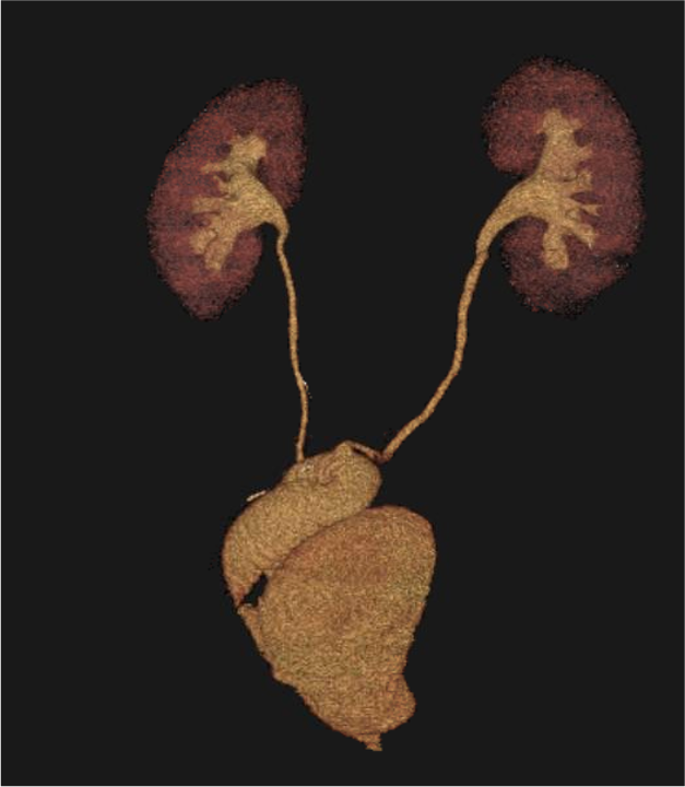 Lenaine Westney tweet media