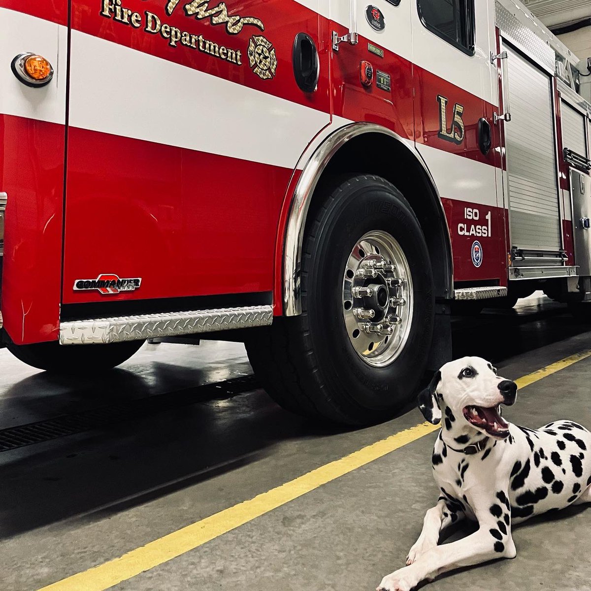 ElPasoFireTX's tweet photo. A friendly reminder from Chief: with the lower temperatures and rain arriving to El Paso, keep your pets inside! https://t.co/xjIepFMOWp