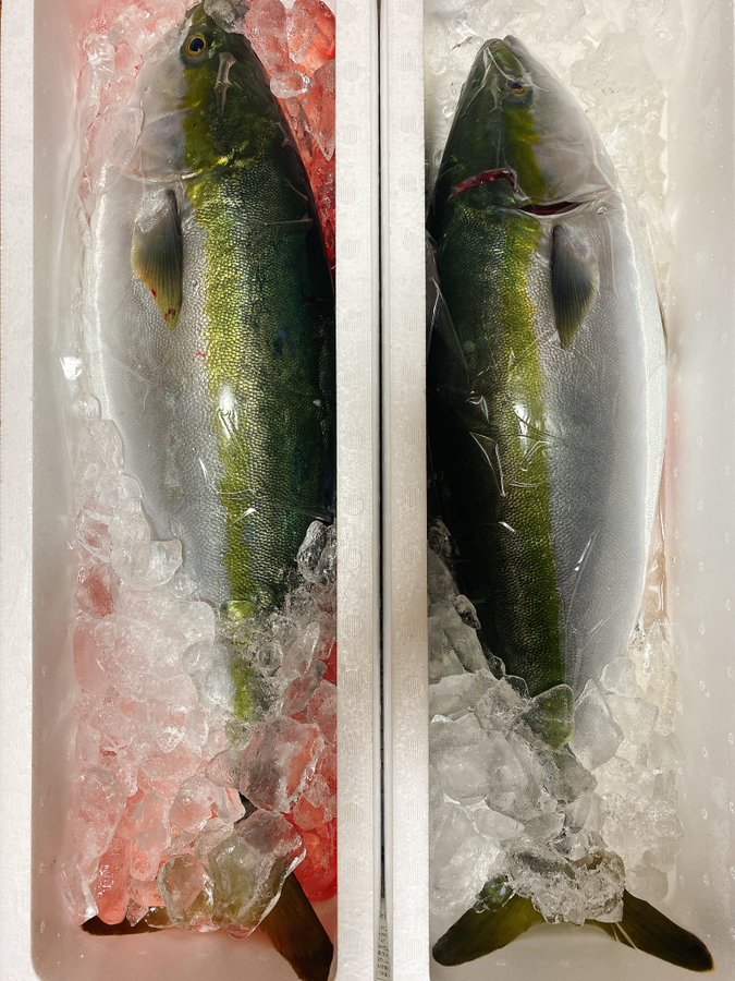 読めたらすごい 魬 魚に反するでなんと読む 魚漢字クイズ Sotokoto Online ソトコトオンライン 未来をつくるsdgsマガジン