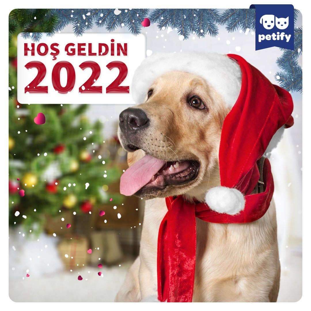 PetifyWorld's tweet photo. 2022 çok güzel, gelsenize.
#Petify #YeniYıl #Yilbasi https://t.co/L8TuSK6qID